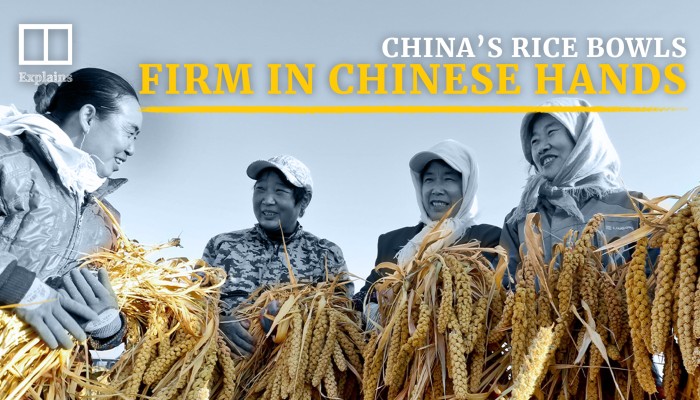 Why Is The Chinese Government So Concerned About Food Security South