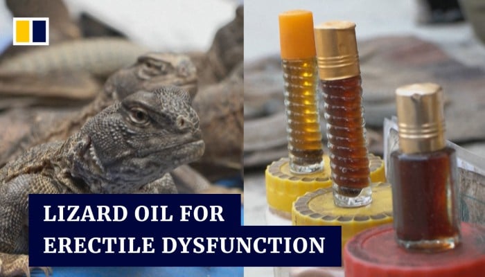 viagra-ban-in-pakistan-sparks-demand-for-lizard-oil-that-makes-men
