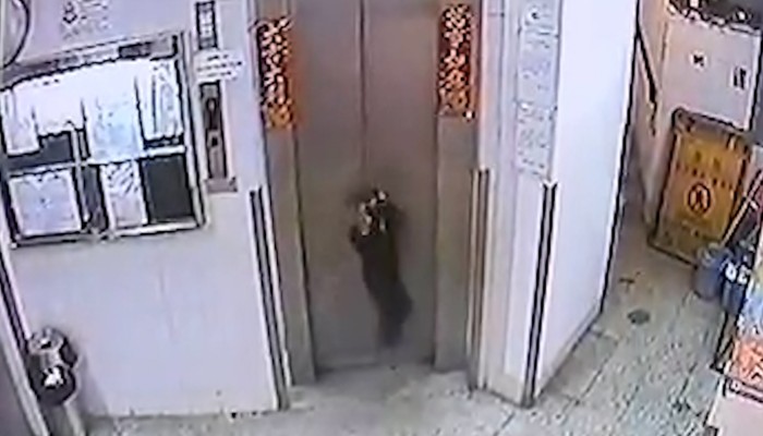 Hong Kong Dog On Leash Escapes Being Strangled To Death After Being