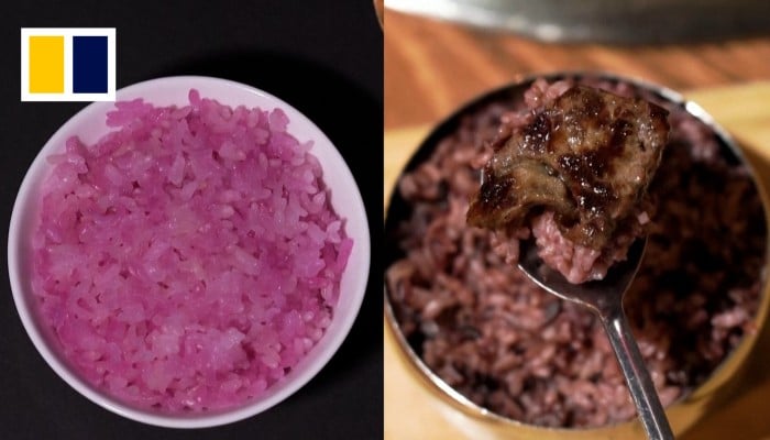 South Korean scientists develop a new meat alternative: beef rice ...