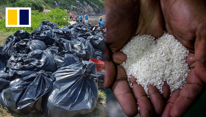 Rice for rubbish: Philippine town pays beach-cleaning residents with ...