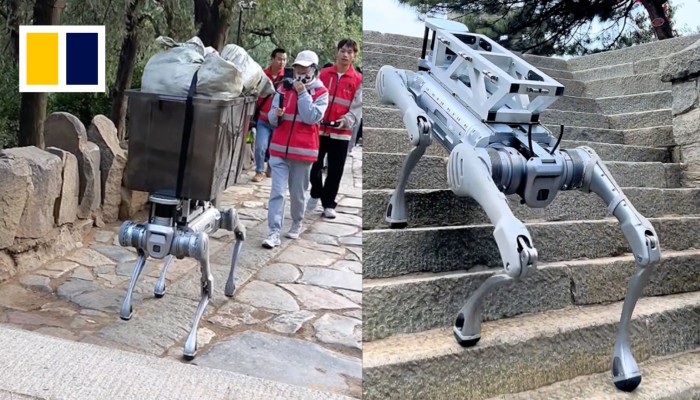Robot dog takes over tough tasks on Mount Tai | South China Morning Post