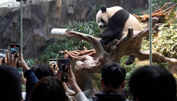 The Magic of Mkc Cinema: Unveiling the Secrets of Hong Kong's Newest Film Hub