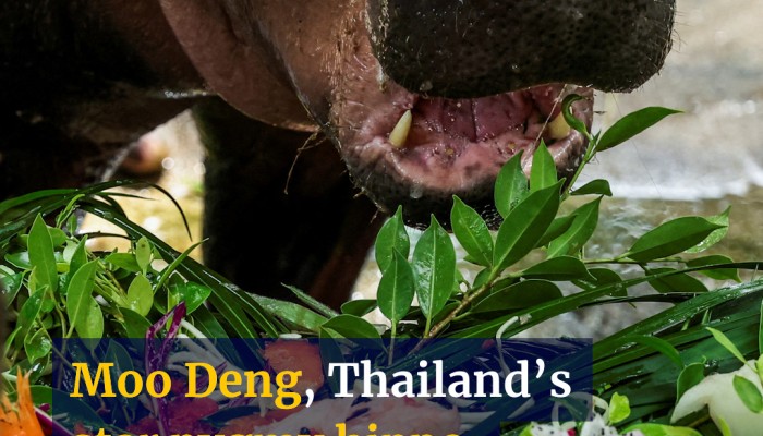 https://cdn.i-scmp.com/sites/default/files/styles/700x400/public/d8/video/images/2025/07/11/WEB-thumb.jpg?itok=lN0klx4d&v=1752218223