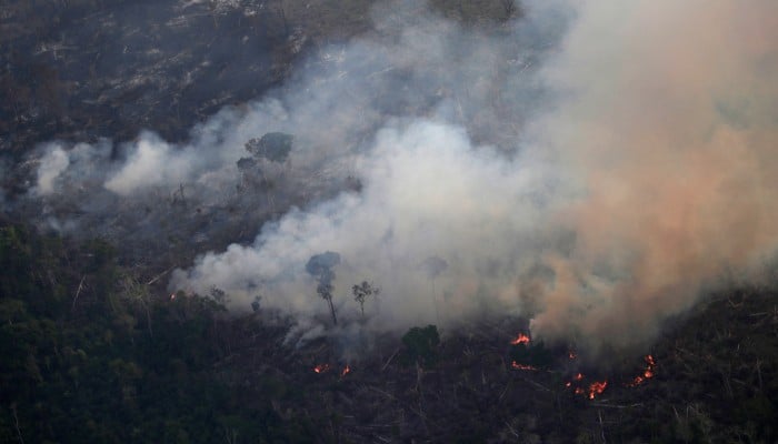 The Aftermath Of Amazon Rainforest Fires South China Morning Post The Aftermath Of Amazon Rainforest Fires South China Morning Post