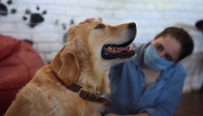 India Overtakes Brazil With Second Highest Number Of Covid 19 Cases City Of Pune National Hotspot South China Morning Post The animal welfare act combined more than 20 pieces of legislation into one. second highest number of covid 19 cases