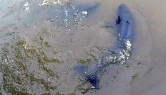 Breathtaking Sea Of Clouds Seen In Central China South China Morning Post Breathtaking Sea Of Clouds Seen In Central China South China Morning Post