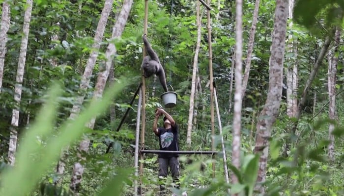 Thailand forest scandal