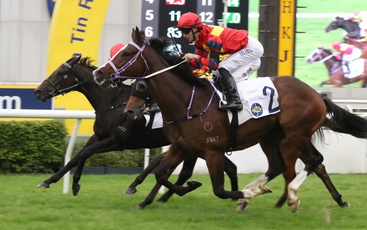 Hong Lok Golf gets up in the nick of time at Sha Tin. Photos: Kenneth Chan