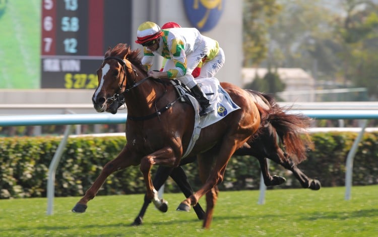 Zac Purton pilots Sagacious Life to victory. Photos: Kenneth Chan