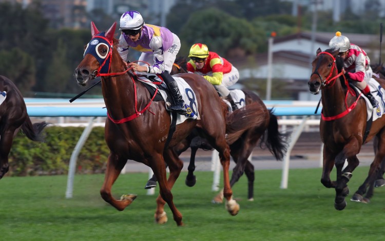 Harry Bentley boots home Stormy Grove at Sha Tin. Photos: Kenneth Chan
