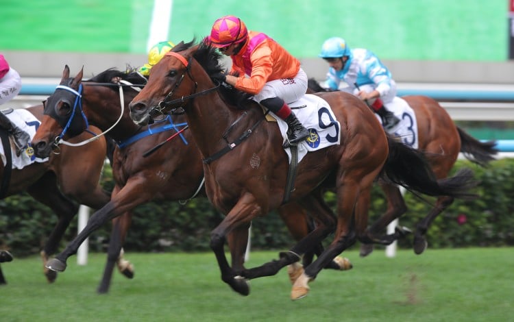 Max Que, ridden by Alexis Badel, highlights Mark Newnham’s treble at Sha Tin. Photos: Kenneth Chan