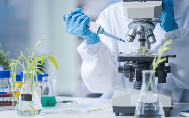 Axiom Biosciences joins a swelling roster of healthcare firms seeking IPO approval in Hong Kong. Photo: Shutterstock