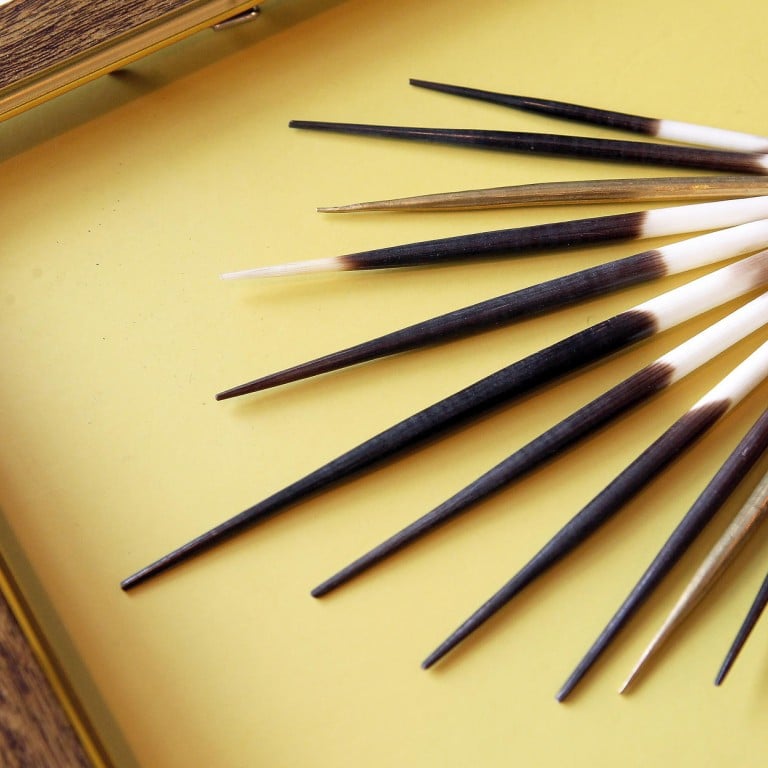 Researchers use porcupine quills to create new shots, medical adhesives