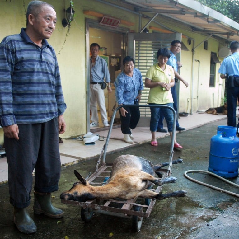 Man gets electric shock in foiling goat rustler | South China Morning Post