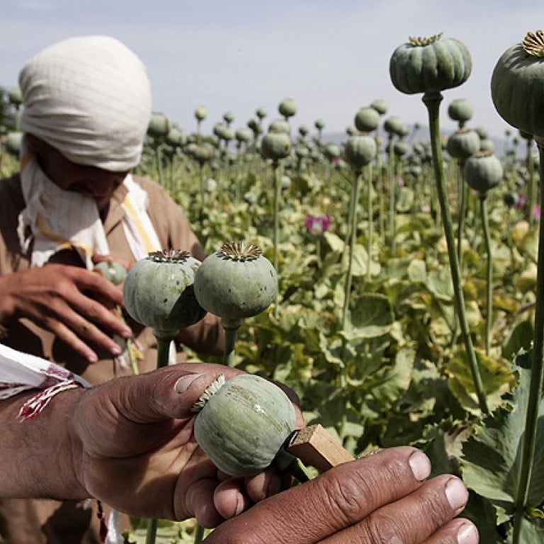 Afghan opium cultivation hits record high | South China Morning Post