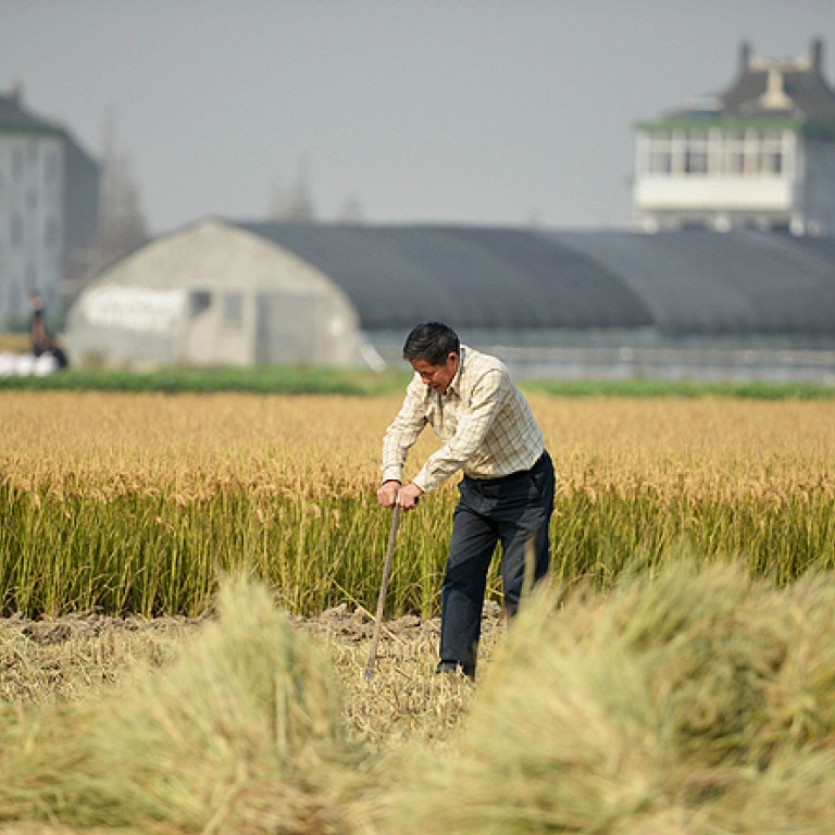 China’s farmers await revolution in land reform | South China Morning Post