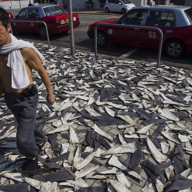 Yao Ming: NBA legend builds schools, fights shark fin soup in China