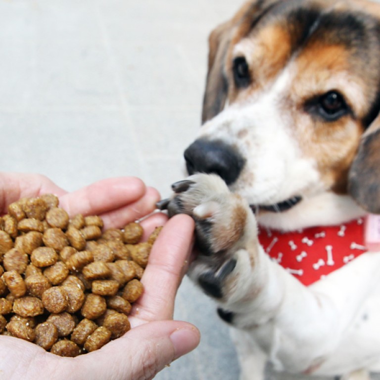 Give your pets dried food despite discovery of cancer toxins vets