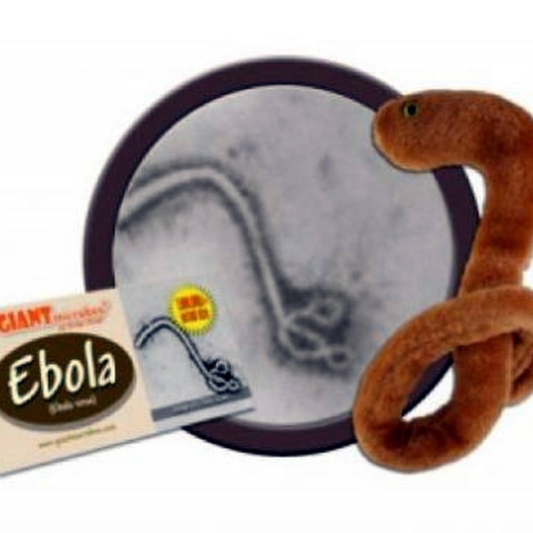 Giant shop microbes ebola