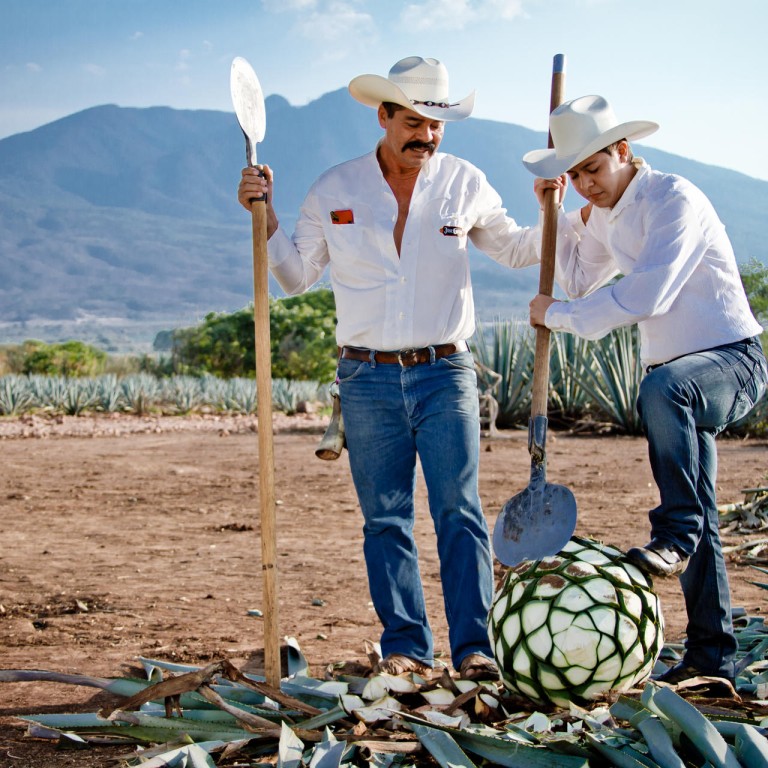 Four Seasons resort offers extraordinary tequila tour