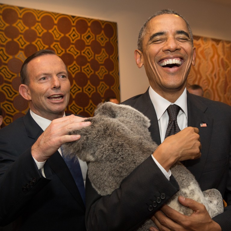 Australian 'Bear Grylls' koala hit by car and survives - BBC News