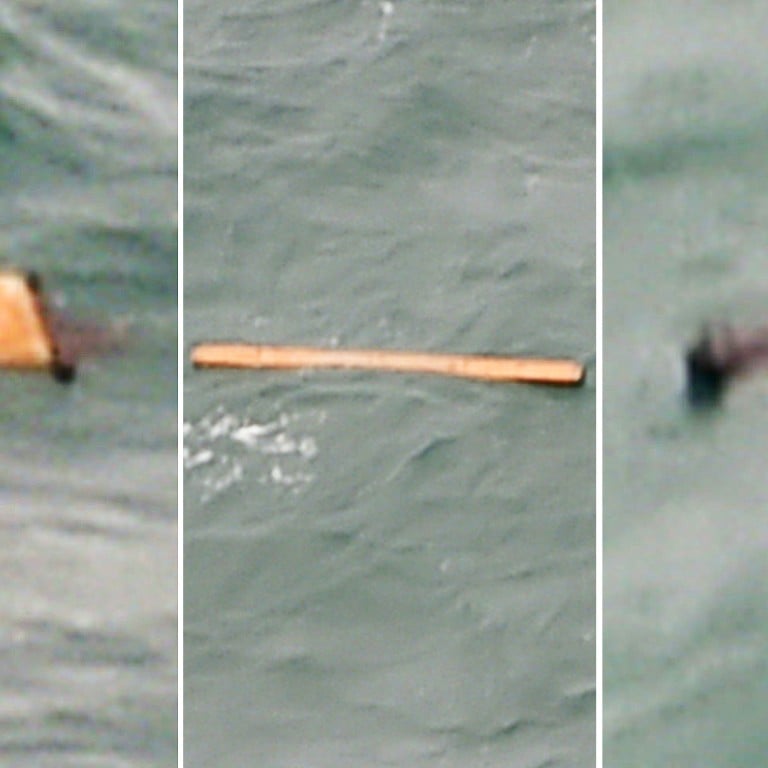 pictures from airasia debris