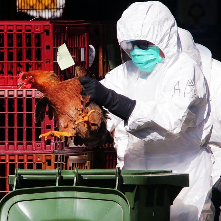 Seasonal Flu And Bird Flu Could Mix And Mutate, Warns Hku Scientist 