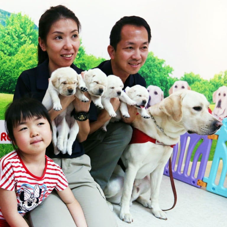 First Hong Kongborn guide dogs set to help meet huge demand from the