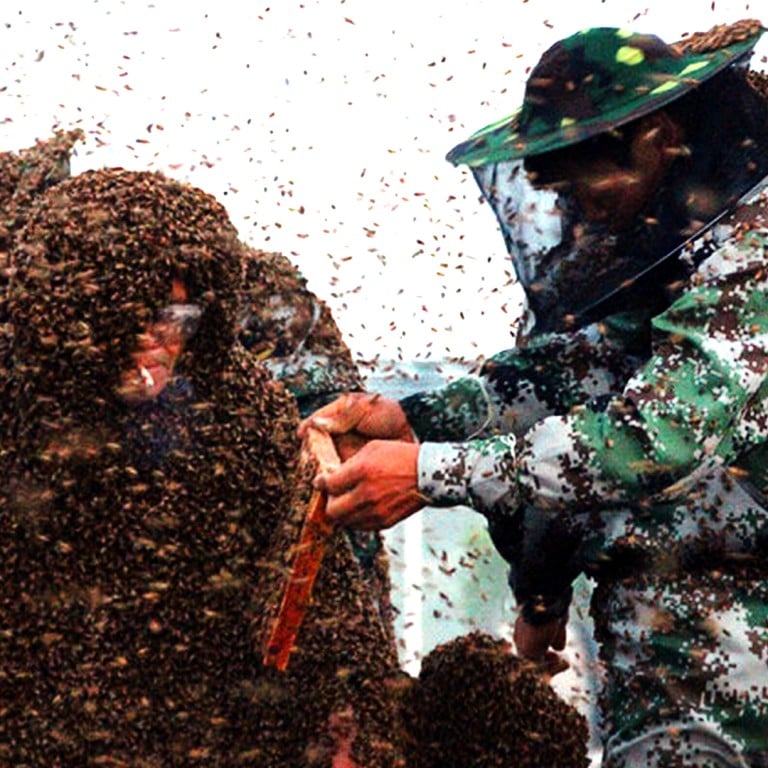 Unbeelievable Chinese Man Claims World Record After Covering Himself With A Million Bees