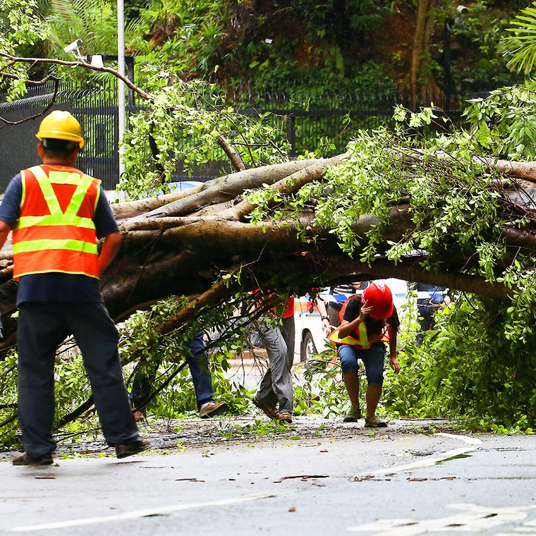 Massive Chinese banyan tree falls on woman on busy street in Hong Kong's Central South China