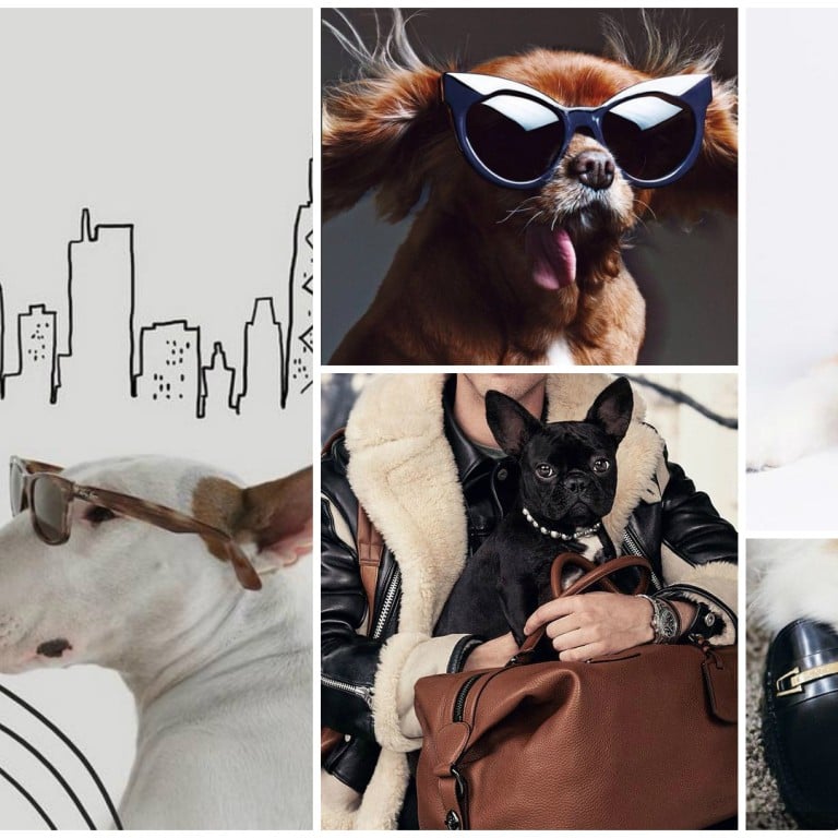 5 times dogs stole our heart in luxury campaigns