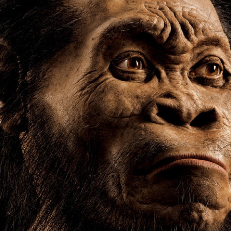 Meet ‘homo Naledi’ New Human Species Discovered From South African Cave Fossils South China