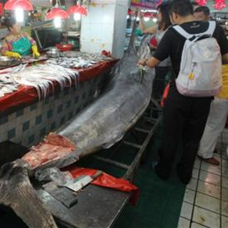 ‘Largestever’ swordfish caught in China’s Yellow Sea ends up in market