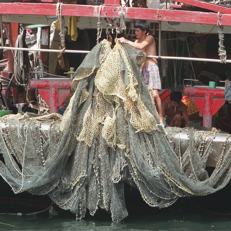 Hong Kong exhibition exposes cruelty of shark-fin trade