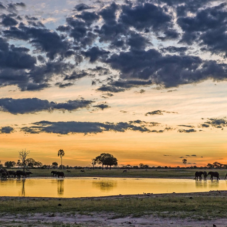 Guests at Wilderness Safaris can see animals in their natural habitats.