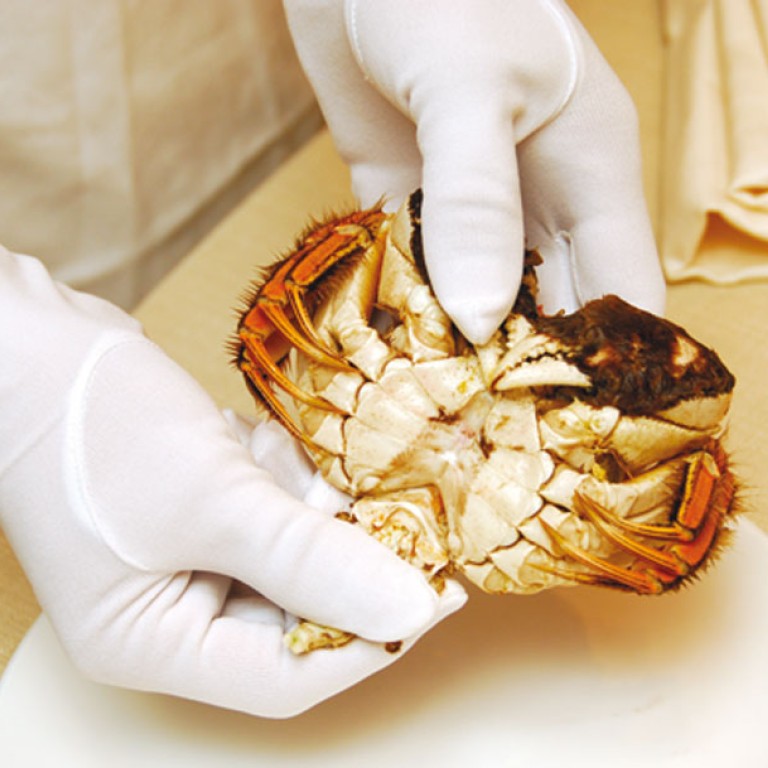 Crab Getting Smashed How to Crack a Crab in Seven Steps | South China Morning Post