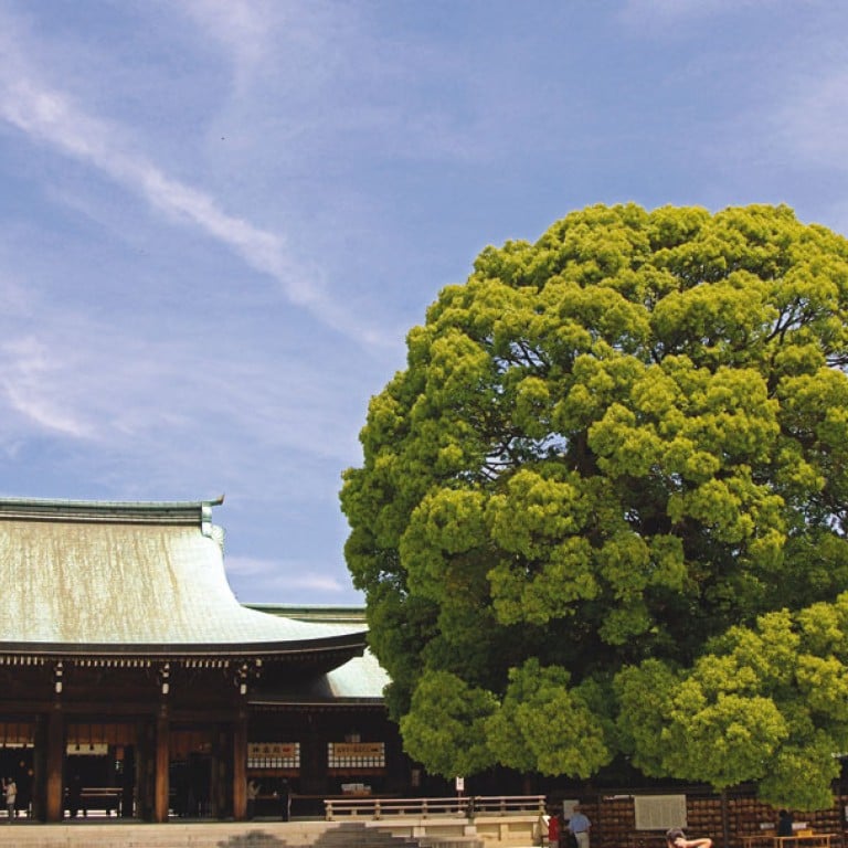 Throwing A Wobbler South China Morning Post