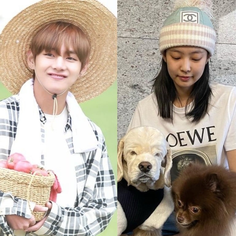 What if Apink’s Hayoung, BTS’ V and Blackpink’s Jennie had followed different career paths? Photos: @_ohhayoung_/ Instagram, @sceneryfortae; @Gentlemanoban97/Twitter