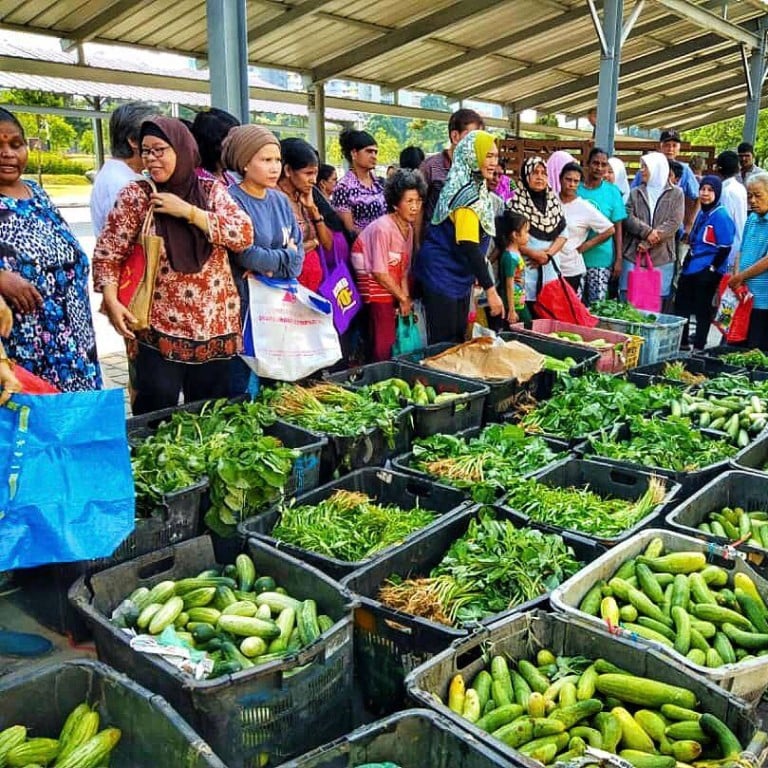 Malaysia’s Lost Food Project hopes to feed those in need and fight ... Biology Diagrams