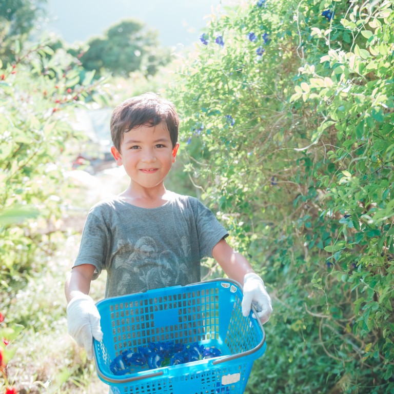 A “farmcation” at Sheraton Hong Kong Tung Chung Hotel. Photo: Handout