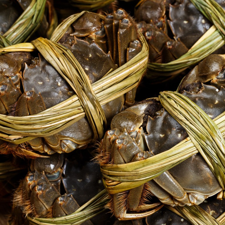 Letter Treatment of hairy crabs surely flouts Hong Kong’s animal