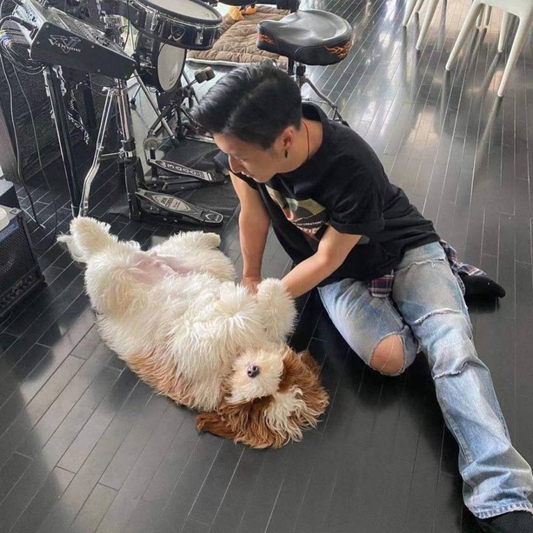 BLACKPINK's Rose adopts an abandoned pup as he begins a new life as an  Instagram star