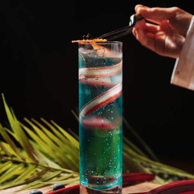 Agras Abloom gin and tonic at Hong Kong bar Dr Fern’s. Photo: Handout