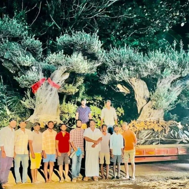 Mukesh Ambani is renowned for his expensive taste in cars, houses and planes – apparently he also has a thing for quality forestry. Photos: @PavanJourno/Twitter, @mukesh.ambaniii/Instagram