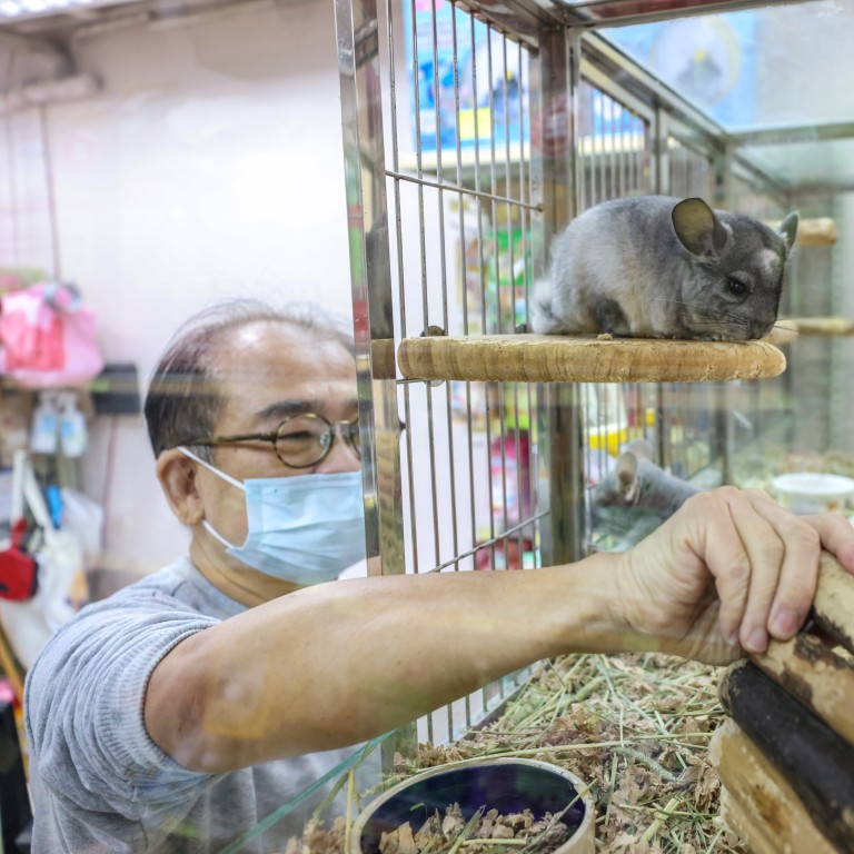 Hong Kong pet shop owners cry foul over Covid-19 hamster cull, say closures  will hurt business