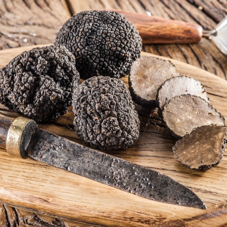 What are truffles why are they so expensive and are black or