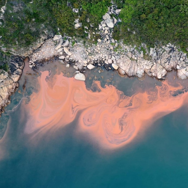 Red Tides How red tides occur, why they smell bad, why you should not swim in one ...