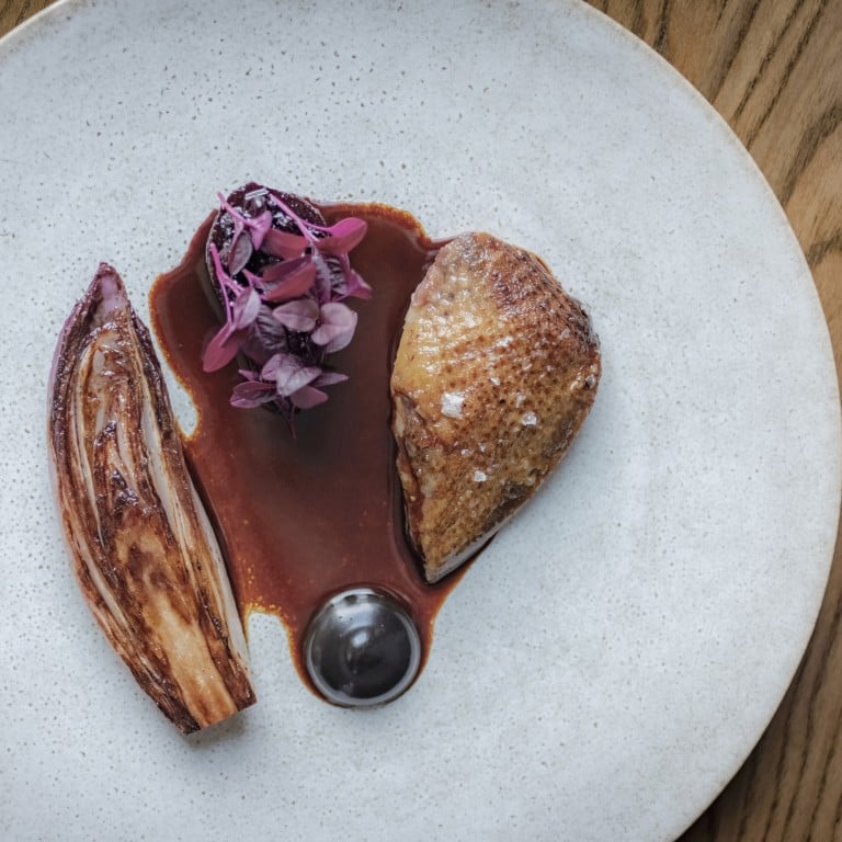 Seven-day hay aged local pigeon with chicory, beetroot and preserved blackcurrant at Roganic. Photo: Handout