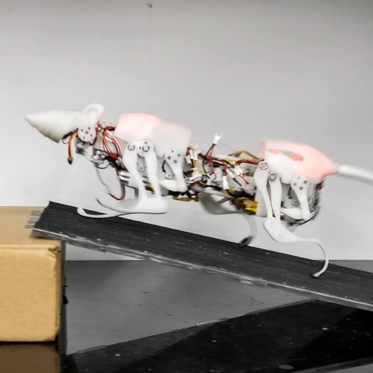 Chinese scientists create robot rat and it could prove to be a ...
